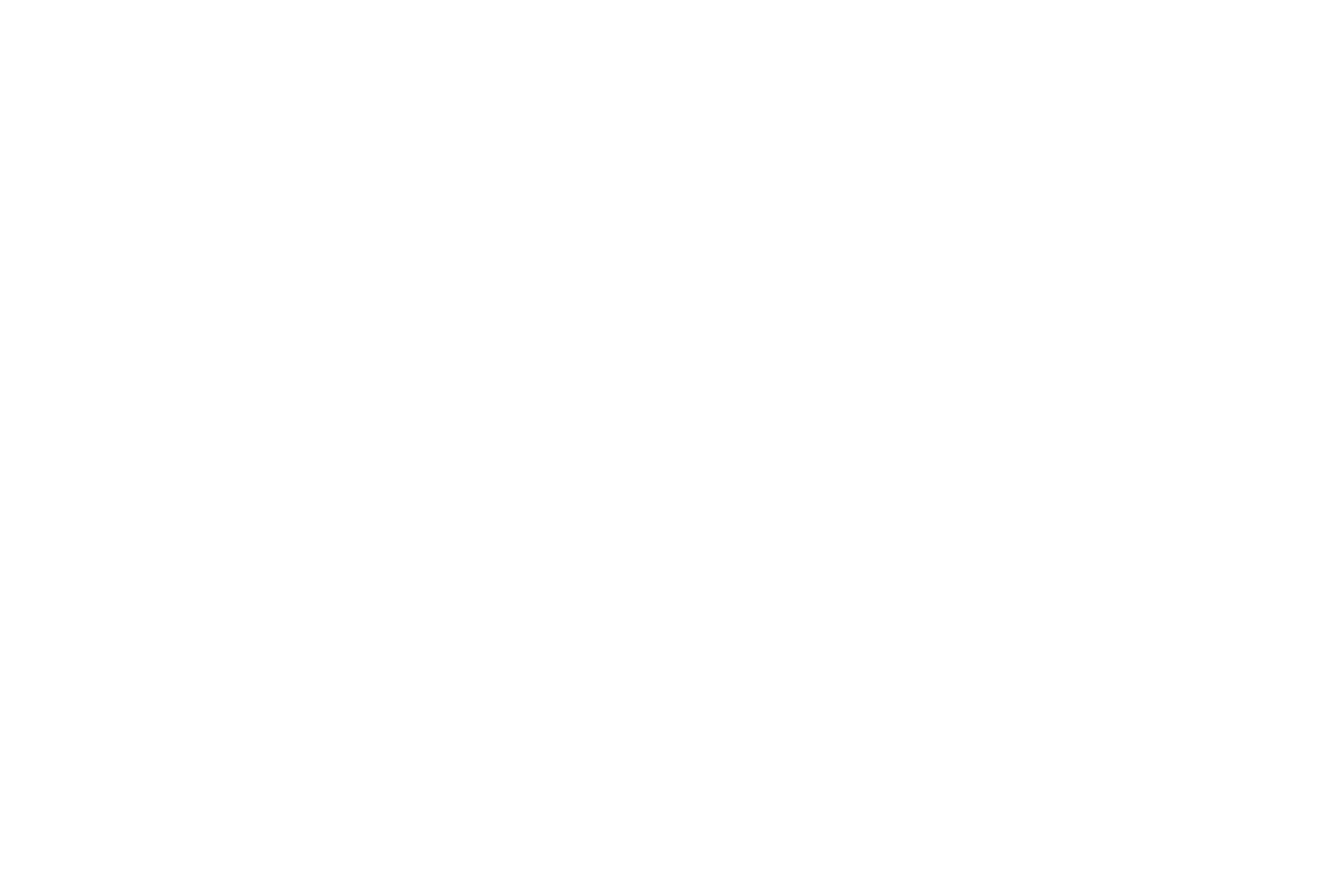 Mastercard logo white