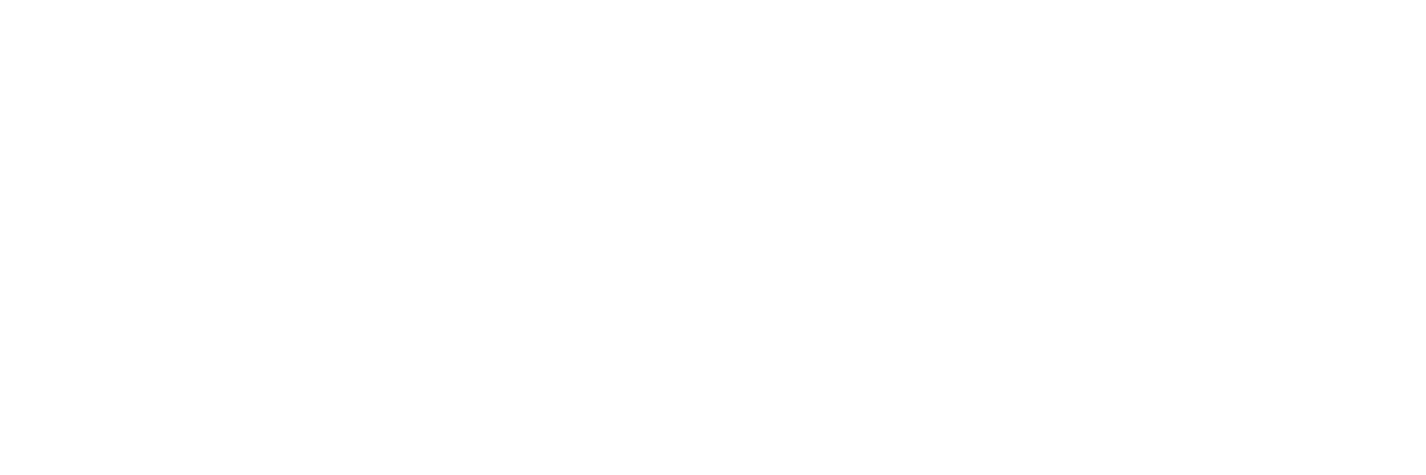 Coca Cola logo white